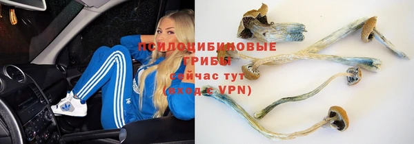 героин Гусев