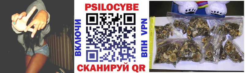 Псилоцибиновые грибы GOLDEN TEACHER  Давлеканово 